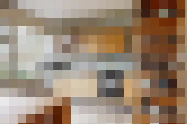 Arendshorst 3 Ede thumbnail 7