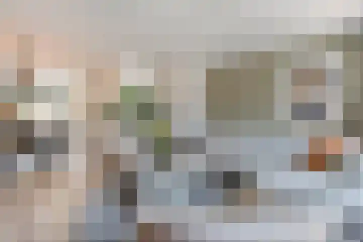 Arendshorst 39 Raalte thumbnail 12