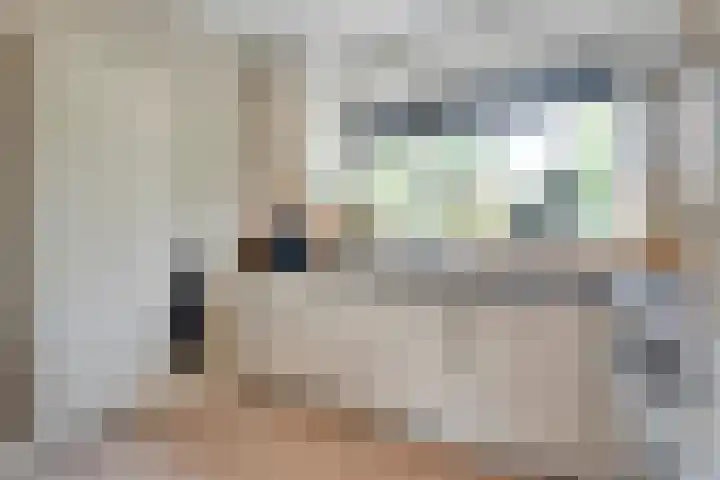 Arendshorst 39 Raalte thumbnail 17