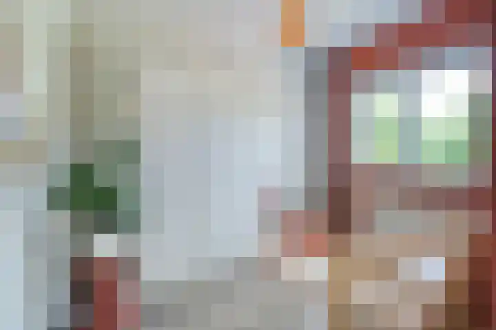 Arendshorst 39 Raalte thumbnail 25