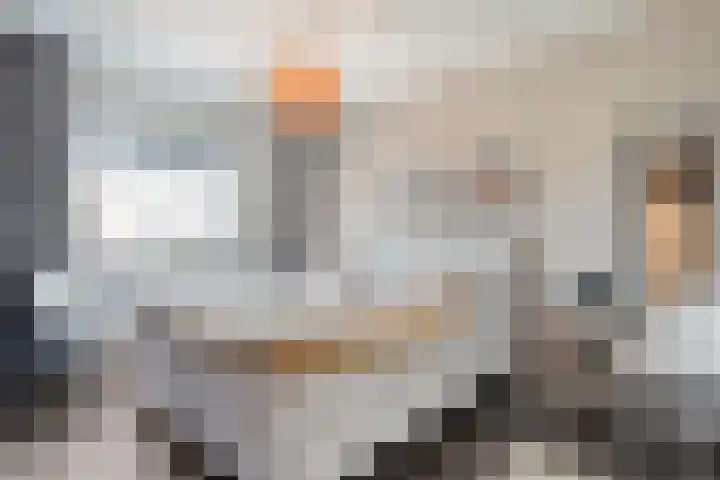 Arendshorst 39 Raalte thumbnail 27