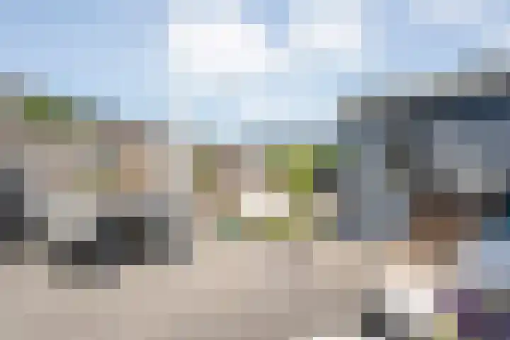 Arendshorst 39 Raalte thumbnail 36