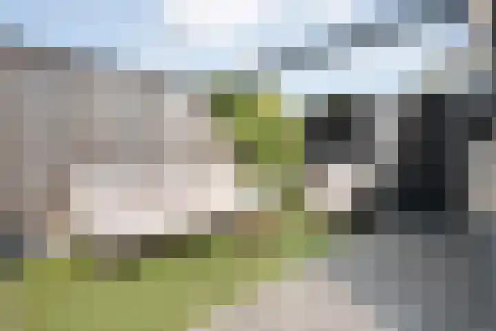 Arendshorst 39 Raalte thumbnail 39