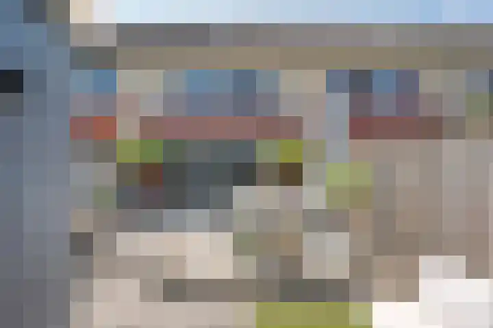 Arendshorst 39 Raalte thumbnail 40
