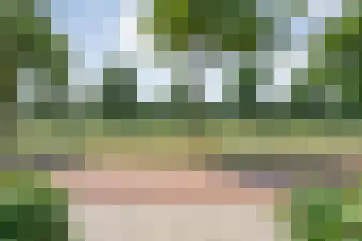 Arendshorst 39 Raalte thumbnail 8