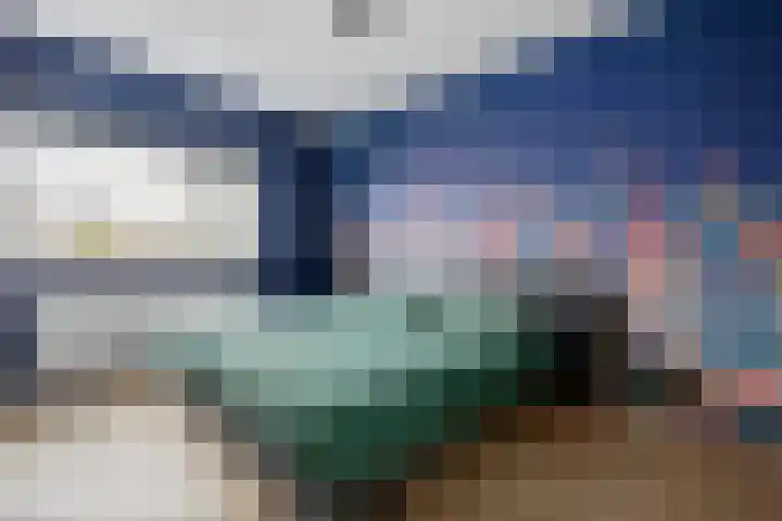 Arendshorst 47 Raalte thumbnail 14