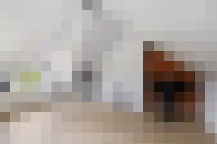 Arendshorst 47 Raalte thumbnail 20