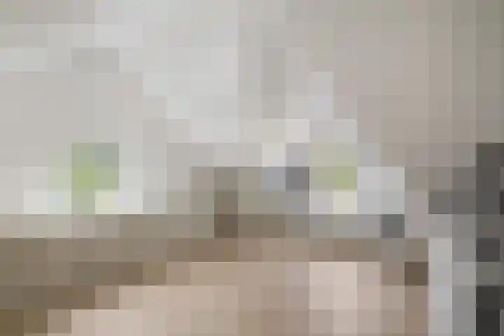 Arendshorst 47 Raalte thumbnail 21