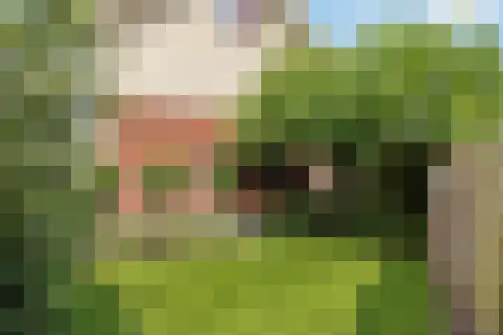 Arendshorst 47 Raalte thumbnail 23