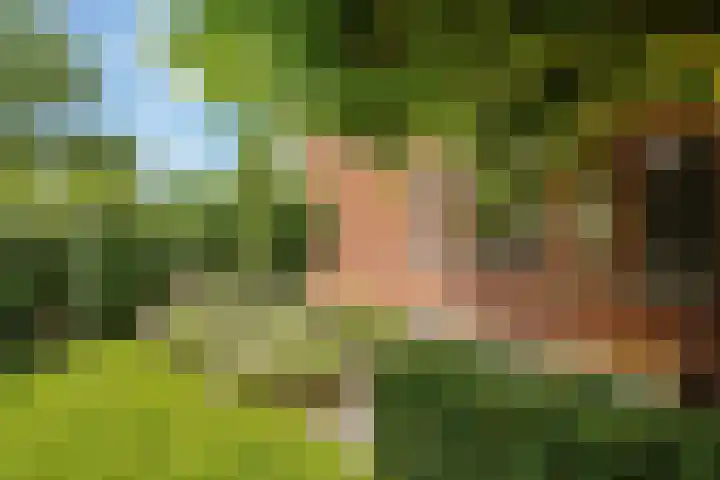 Arendshorst 47 Raalte thumbnail 25