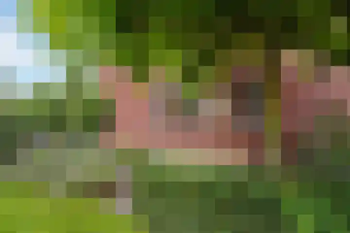 Arendshorst 47 Raalte thumbnail 27