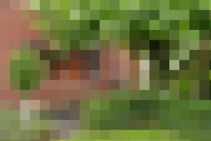 Arendshorst 47 Raalte thumbnail 29