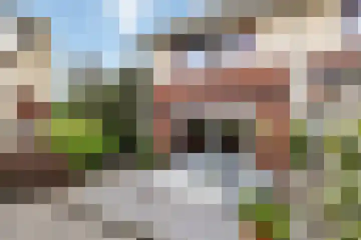 Arendshorst 47 Raalte thumbnail 31