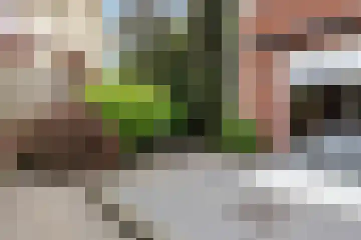 Arendshorst 47 Raalte thumbnail 32