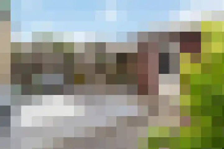 Arendshorst 47 Raalte thumbnail 33
