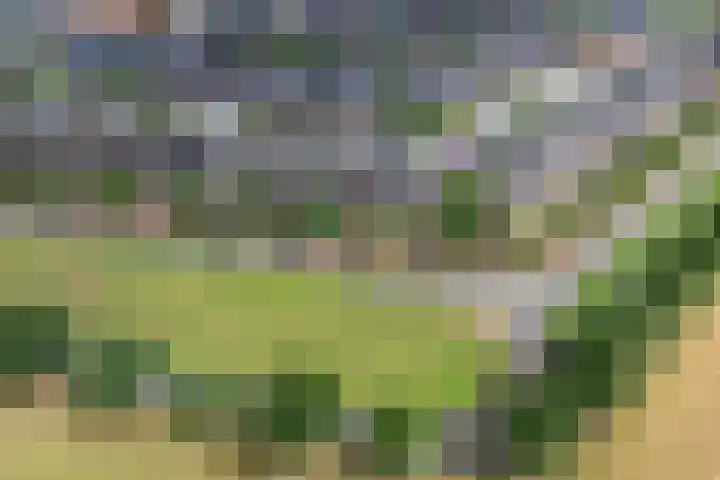 Arendshorst 47 Raalte thumbnail 37