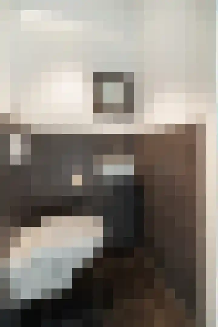Arendshorst 79 Raalte thumbnail 14