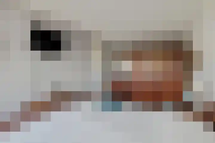 Arendshorst 79 Raalte thumbnail 18