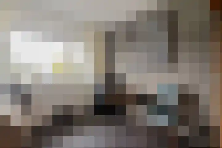 Arendshorst 79 Raalte thumbnail 19