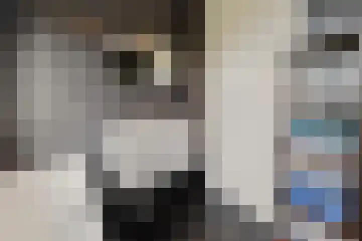 Arendshorst 79 Raalte thumbnail 22