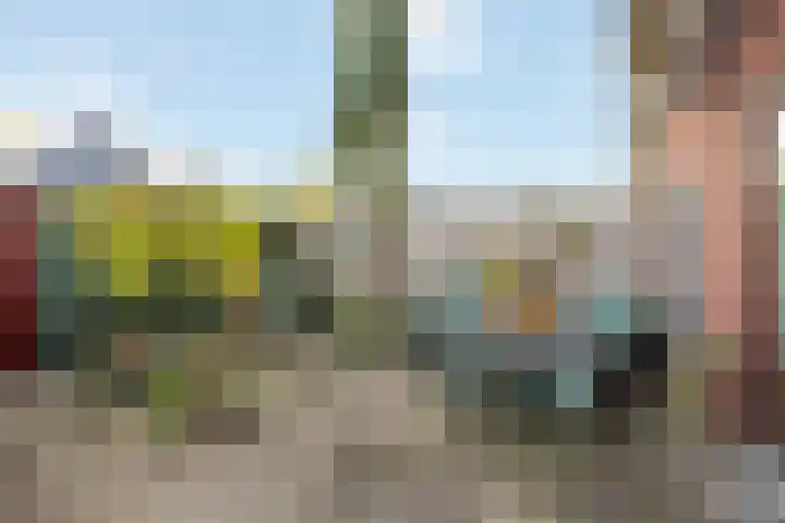Arendshorst 79 Raalte thumbnail 28