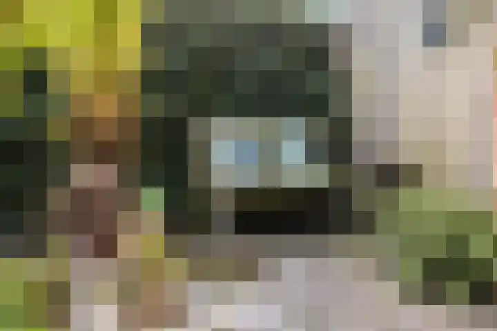 Arendshorst 79 Raalte thumbnail 29
