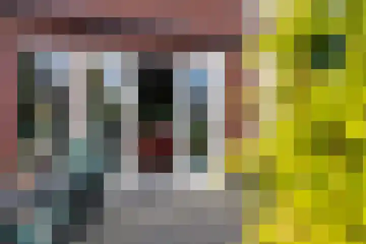 Arendshorst 79 Raalte thumbnail 30
