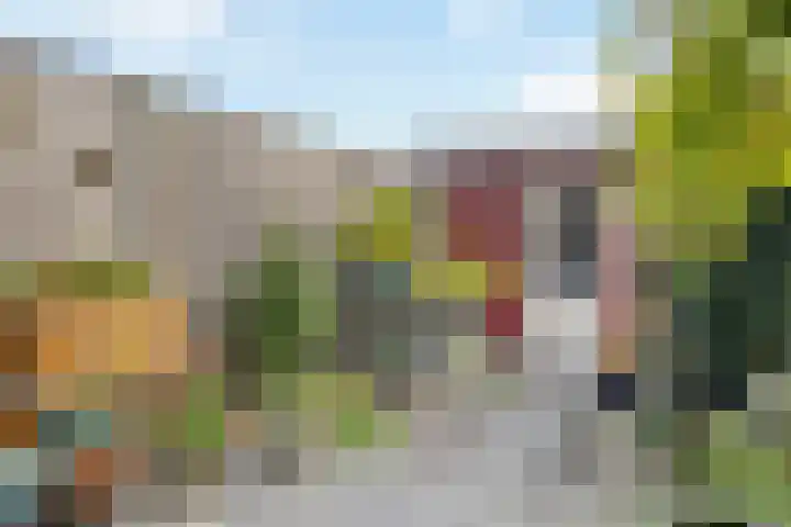 Arendshorst 79 Raalte thumbnail 32