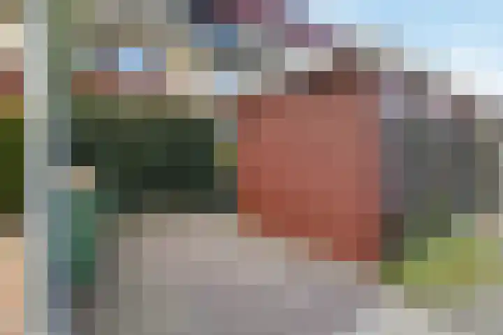 Arendshorst 79 Raalte thumbnail 33