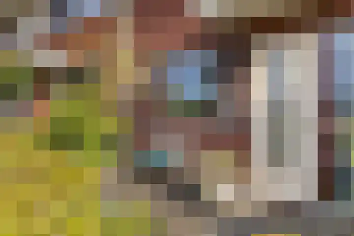 Arendshorst 79 Raalte thumbnail 4