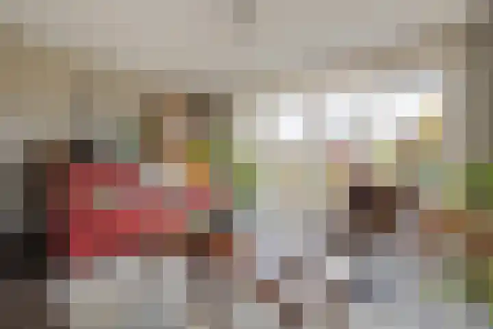 Arendshorst 79 Raalte thumbnail 5