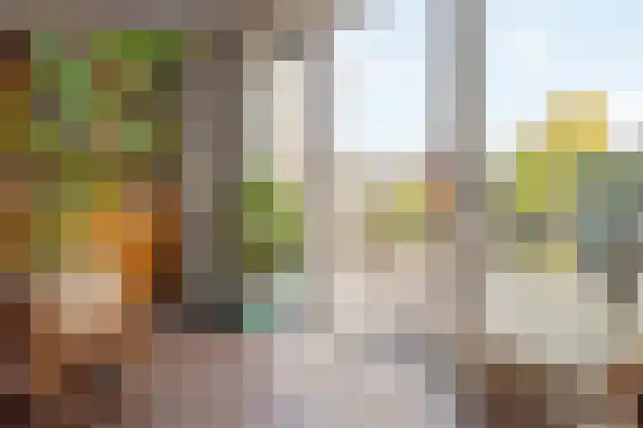 Arendshorst 79 Raalte thumbnail 8
