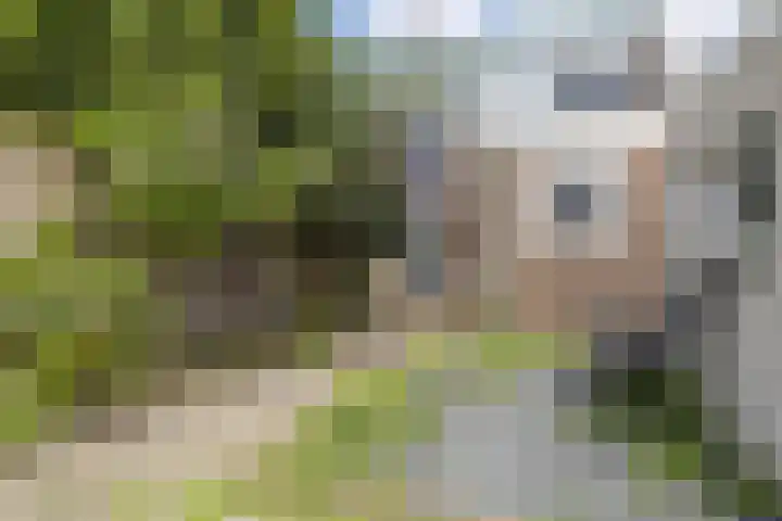Arendsweg 32 Beverwijk thumbnail 30