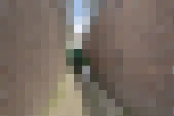 Arendsweg 32 Beverwijk thumbnail 32