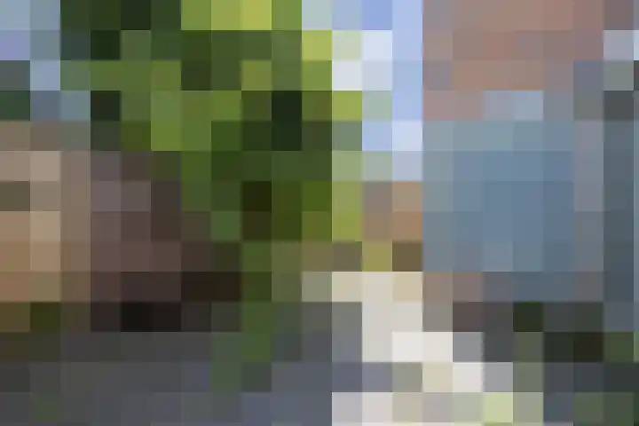 Arendsweg 34 Beverwijk thumbnail 29
