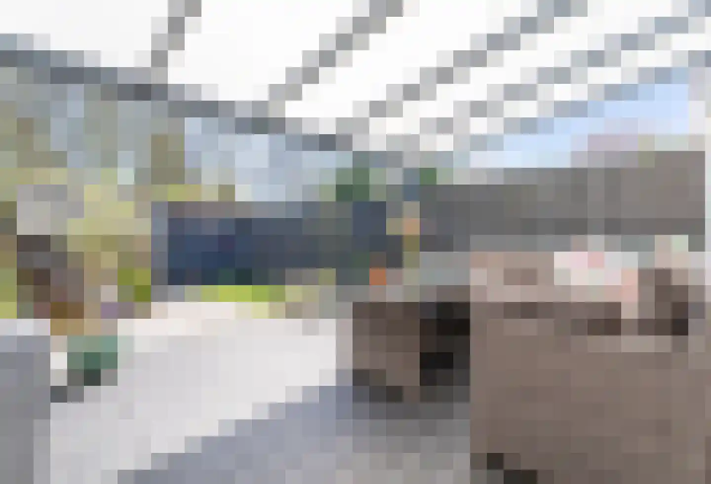 Ares 51 Hellevoetsluis thumbnail 5