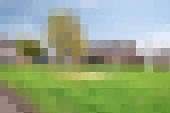 Ares 9 Hellevoetsluis thumbnail 32