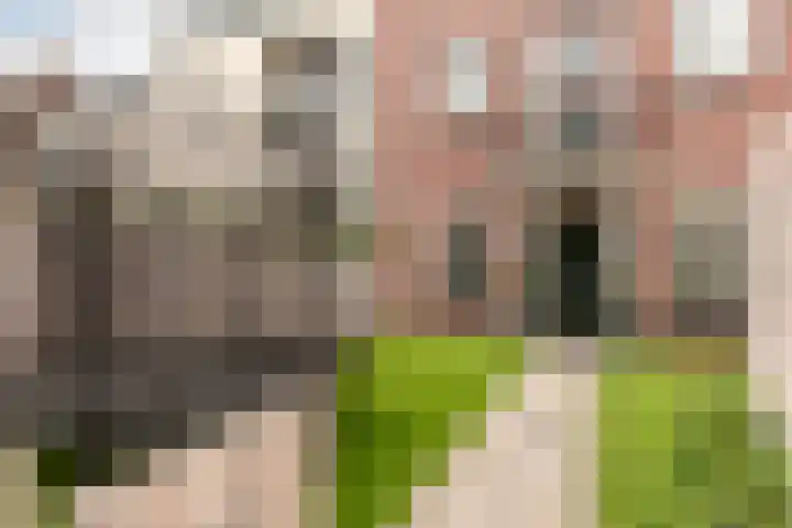 Aresstraat 15 Almere thumbnail 6
