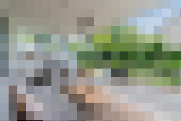 Argonautenlaan 24 Eindhoven thumbnail 33