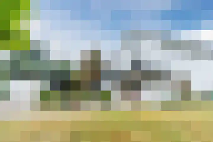 Argonautenlaan 24 Eindhoven thumbnail 40