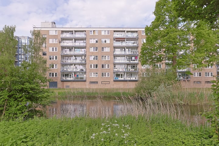 Argostraat 212 in Alphen aan den Rijn foto