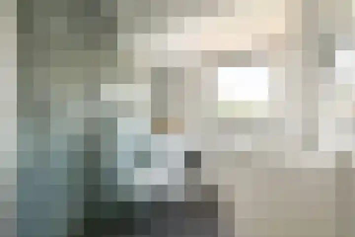 Argostraat 56 Amsterdam thumbnail 24
