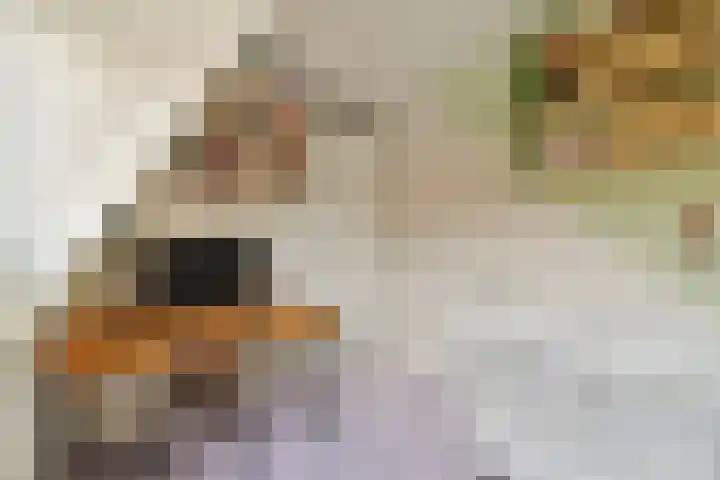 Argostraat 56 Amsterdam thumbnail 27