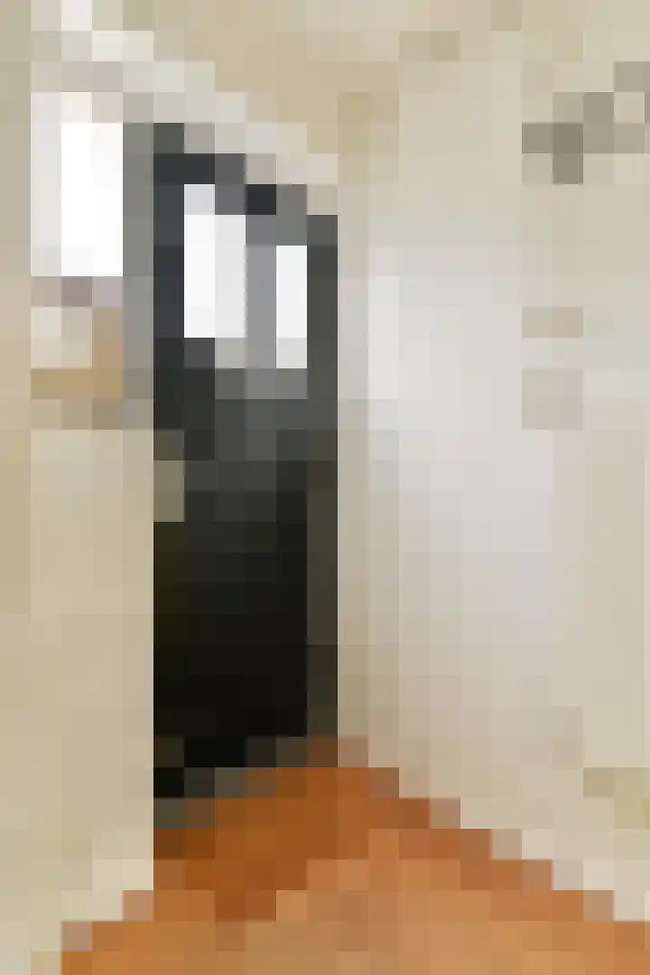 Argostraat 56 Amsterdam thumbnail 7