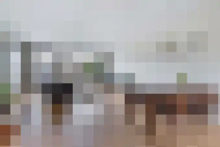 Argusvlinder 8 Apeldoorn thumbnail 10