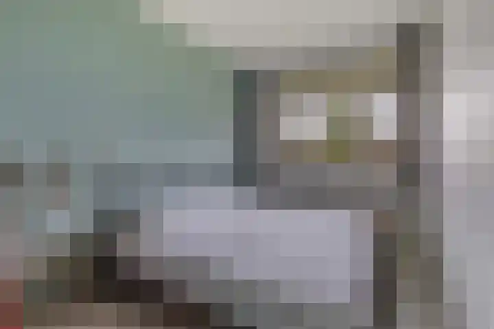 Argusvlinder 8 Apeldoorn thumbnail 17