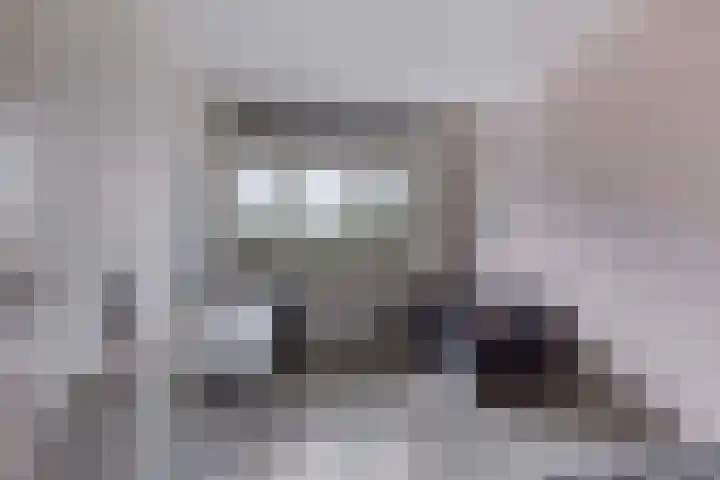Argusvlinder 8 Apeldoorn thumbnail 20