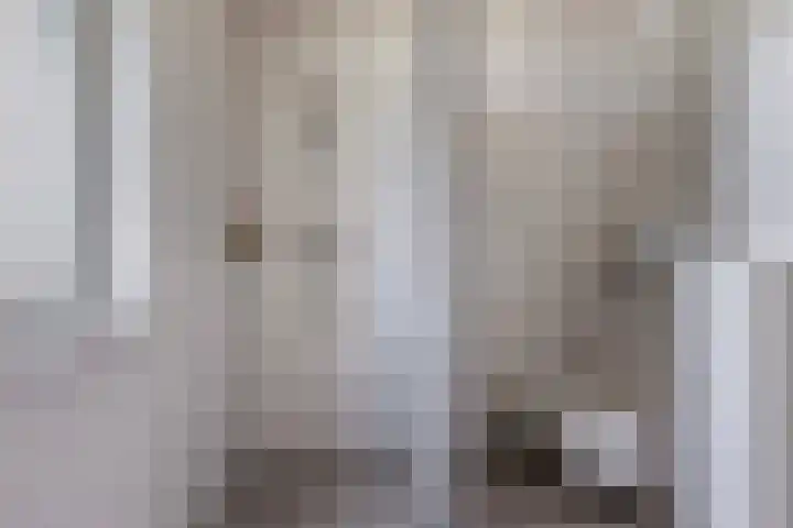 Argusvlinder 8 Apeldoorn thumbnail 22