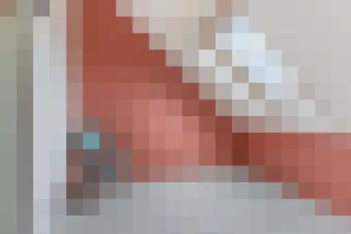 Argusvlinder 8 Apeldoorn thumbnail 26
