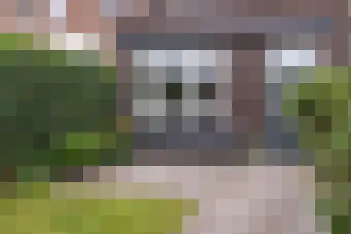 Argusvlinder 8 Apeldoorn thumbnail 31